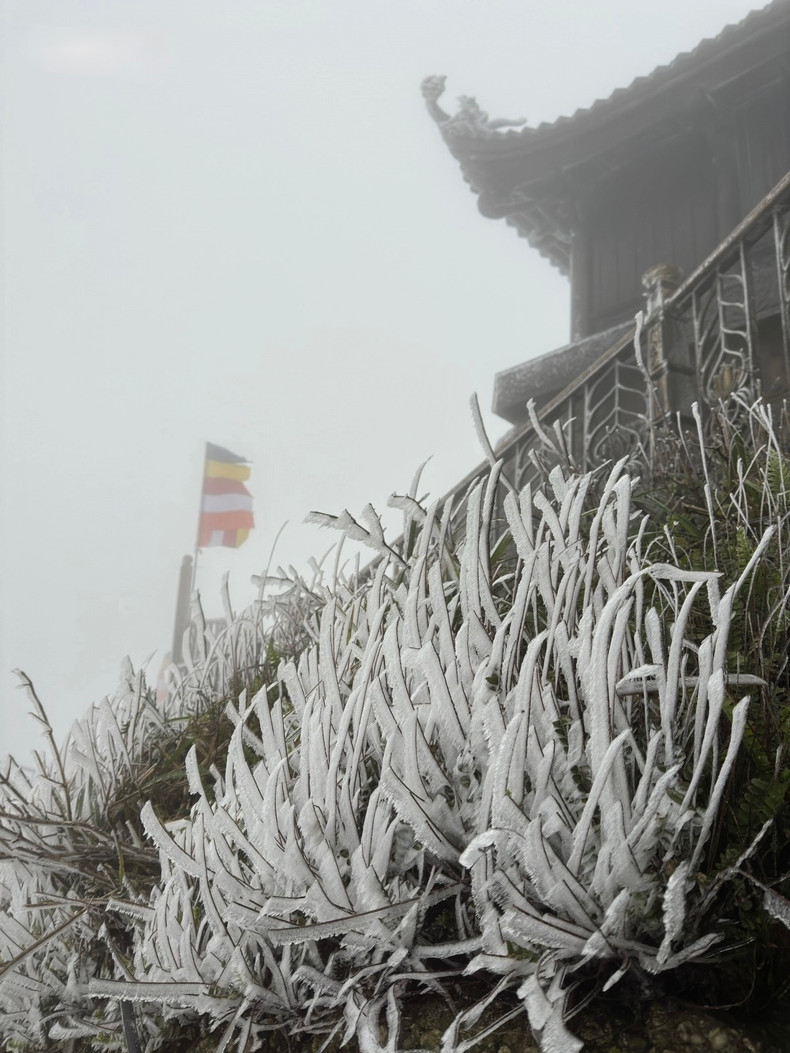 Le mont de Mâu Son, province de Lang Son, est couvert de neige depuis le tôt matin du 23 janvier. Le mont de Mâu Son, province de Lang Son, est couvert de neige depuis le tôt matin du 23 janvier.