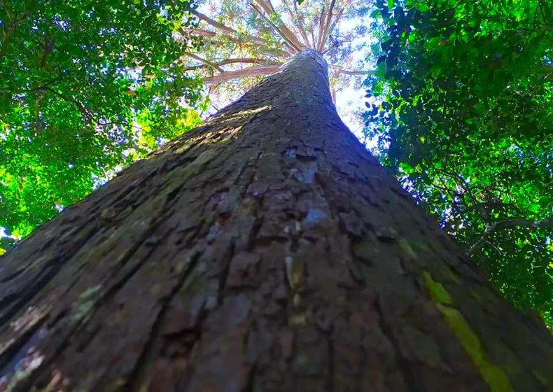 Photo : tienphong.vn Photo : tienphong.vn