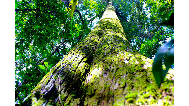 Photo : tienphong.vn Photo : tienphong.vn