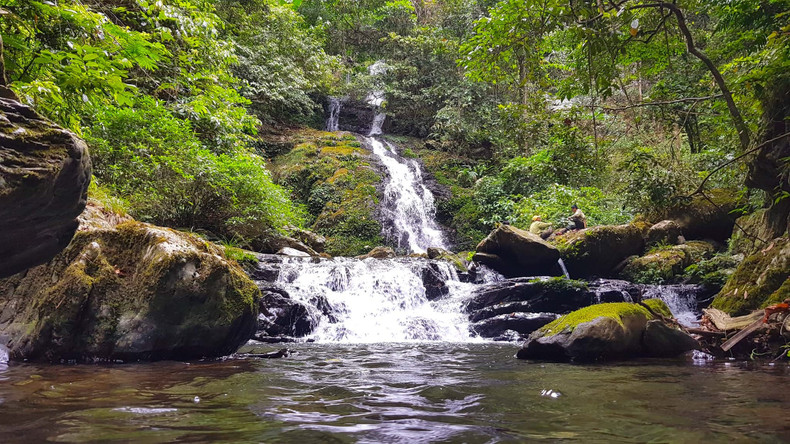 La zone centrale du parc national de Pù Mat était autrefois connu comme le « pays des fées » de Nghê An. Photo : tienphong.vn La zone centrale du parc national de Pù Mat était autrefois connu comme le « pays des fées » de Nghê An. Photo : tienphong.vn