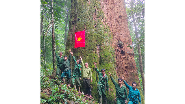 Photo : tienphong.vn Photo : tienphong.vn