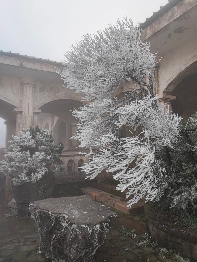 Selon le bureau de gestion de la zone touristique de Mâu Son, des couches épaisses de neige et de glace, s'étendant sur environ 3 kilomètres couvrent la zone depuis l'intersection de Phôi Câp jusqu'au sommet de Mâu Son, province de Lang Son. Photo: VOV Selon le bureau de gestion de la zone touristique de Mâu Son, des couches épaisses de neige et de glace, s'étendant sur environ 3 kilomètres couvrent la zone depuis l'intersection de Phôi Câp jusqu'au sommet de Mâu Son, province de Lang Son. Photo: VOV