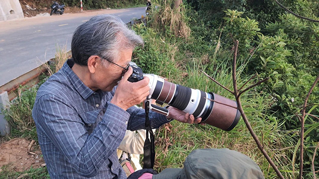Les touristes étrangers aiment prendre des photos des doucs dans la péninsule de Son Trà. Photo: VNA