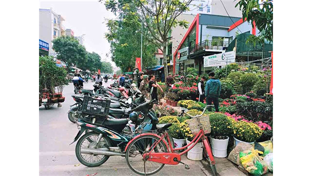 Les pots de fleurs pour le Têt devant le marché. Photo : Minh Minh/NDEL. Les pots de fleurs pour le Têt devant le marché. Photo : Minh Minh/NDEL.