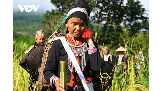 Les femmes qui recueillent le riz pour la cérémonie doivent être vertueuses, travailleuses et avoir une famille heureuse. Photo : VOV.