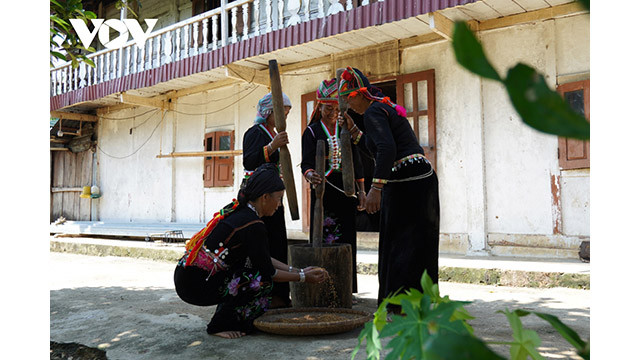 Le « cốm » pour célébrer le nouveau riz sont pilés à la main selon les coutumes traditionnelles de l’ethnie Khơ Mú. Photo : VOV.