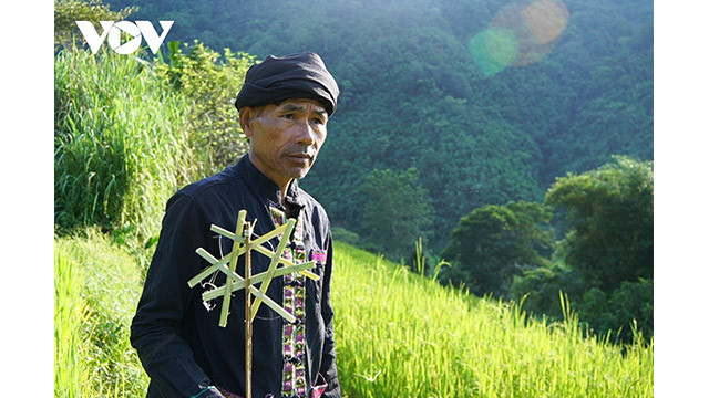 Le recueil du riz pour la cérémonie se fait tôt le matin du jour de la fête. Photo : VOV.