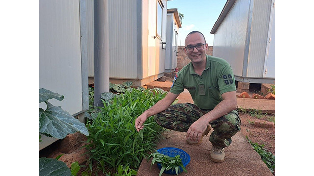 Le capitaine Ljubisav Vicentijevic, officier de la force de maintien de la paix de la République de Serbie, récolte des légumes dans un potager vietnamien. Photo : baoquocte.vn Le capitaine Ljubisav Vicentijevic, officier de la force de maintien de la paix de la République de Serbie, récolte des légumes dans un potager vietnamien. Photo : baoquocte.vn