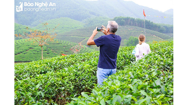 Un touriste profite du paysage naturel des îlots du Thé. Photo : Dinh Tuyên/baonghean.vn Un touriste profite du paysage naturel des îlots du Thé. Photo : Dinh Tuyên/baonghean.vn