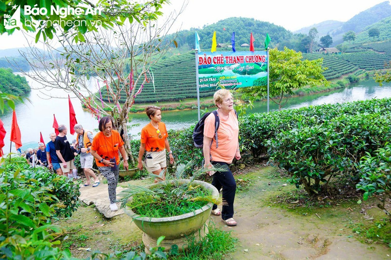 Les touristes français se sont précipités avec enthousiasme pour explorer les îlots du Thé. Photo : Dinh Tuyên/baonghean.vn Les touristes français se sont précipités avec enthousiasme pour explorer les îlots du Thé. Photo : Dinh Tuyên/baonghean.vn