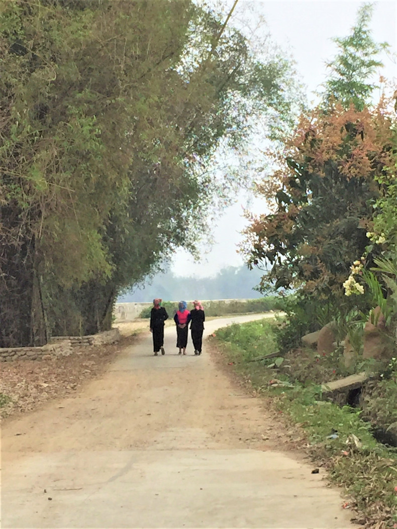 Le chemin du village de Sà Rèn. Photo : Dô Tuê/NDEL. Le chemin du village de Sà Rèn. Photo : Dô Tuê/NDEL.