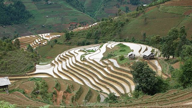 Les rizières en terrasses pendant la saison des pluies changent de couleur selon le temps et l'espace de la journée. Photo: tienphong.vn Les rizières en terrasses pendant la saison des pluies changent de couleur selon le temps et l'espace de la journée. Photo: tienphong.vn