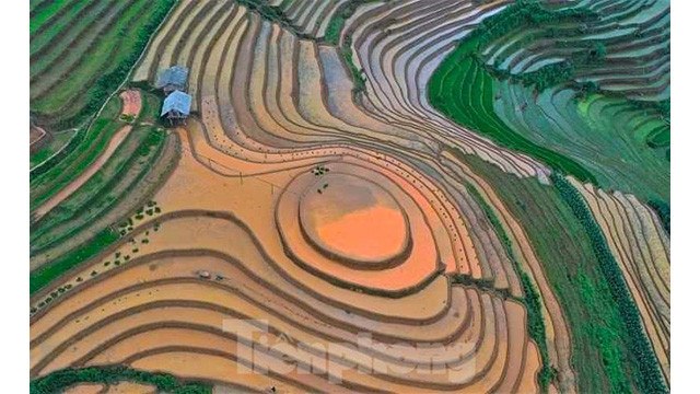 La beauté des rizières en terrasses de Mù Cang Chai pendant la saison des eaux ảnh 8 La beauté des rizières en terrasses de Mù Cang Chai pendant la saison des eaux ảnh 8
