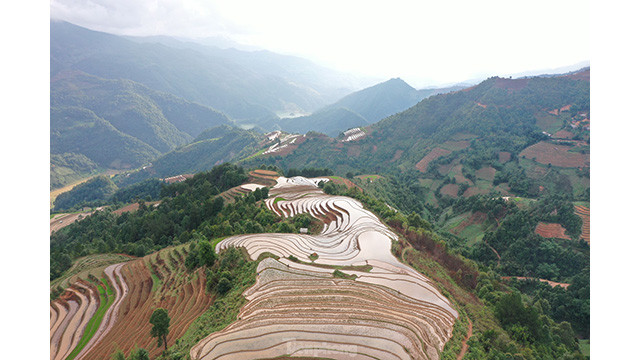 La beauté des rizières en terrasses. Photo: tienphong.vn La beauté des rizières en terrasses. Photo: tienphong.vn