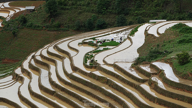 En 2007, les rizières en terrasses de trois communes de La Pan Tân, Dê Xu Phinh et Chê Cu Nha du district de Mù Cang Chai ont été reconnus comme sites nationaux. Photo: tienphong.vn En 2007, les rizières en terrasses de trois communes de La Pan Tân, Dê Xu Phinh et Chê Cu Nha du district de Mù Cang Chai ont été reconnus comme sites nationaux. Photo: tienphong.vn