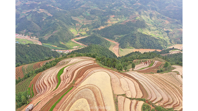 Les rizières en terrasses de Mù Cang Chai, créent un tableau splendide. Photo: tienphong.vn Les rizières en terrasses de Mù Cang Chai, créent un tableau splendide. Photo: tienphong.vn