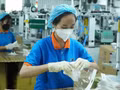 Activités de production de la société SARL Nam Anh spécialisée dans la production d’équipements médicaux dans le quartier de Phu Tho, à Hô Chi Minh-Ville.