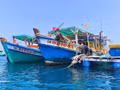 https://fr.vietnamplus.vn/inn-ca-mau-renforce-la-gestion-des-navires-pour-lever-le-carton-jaune-de-la-ce-post262836.vnp
