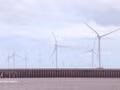 Ca Mau mise sur le développement des énergies renouvelables, en tirant parti de son atout que représente un littoral s'étendant sur plus de 310 km. Photo : VNA.