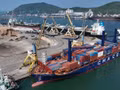 Le Vietnam ambitionne de renforcer son industrie maritime et navale. Photo : VNA.