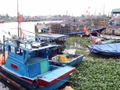 Da Nang restructure sa flotte de pêche pour protéger les ressources côtières. Photo : VNA.