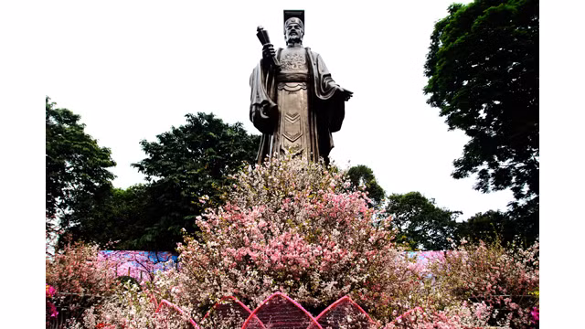 20 000 branches de fleurs de cerisier au jardin du Ri Ly Thai Tô ảnh 3