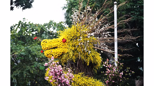 20 000 branches de fleurs de cerisier au jardin du Ri Ly Thai Tô ảnh 8