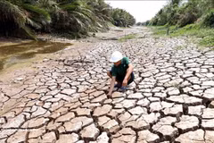 Efforts déployés pour faire face aux changements climatiques. Photo : VNA. 