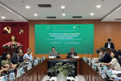 Lors du Forum de coopération stratégique intitulé « Promouvoir la transition verte en faveur d’un développement durable dans un nouveau contexte », le 25 août à Hanoï. Photo : VNA. 
