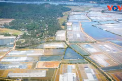 Vue aérienne des marais salants de Tuyêt Diêm en pleine saison de récolte. Photo : VOV.