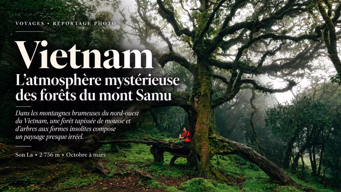 Vietnam : l’atmosphère mystérieuse des forêts du mont Samu