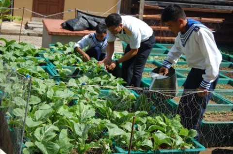 Rêver de te voir sur l’île de Sinh Tôn ảnh 8