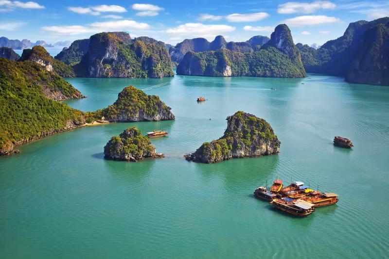 Pour la toute première fois, la Journée « Vietnam – UE : s'unir pour un environnement propre » s’est tenue le 12 mai dans la ville de Ha Long, province de Quang Ninh (au nord). Photo : vnexpress.