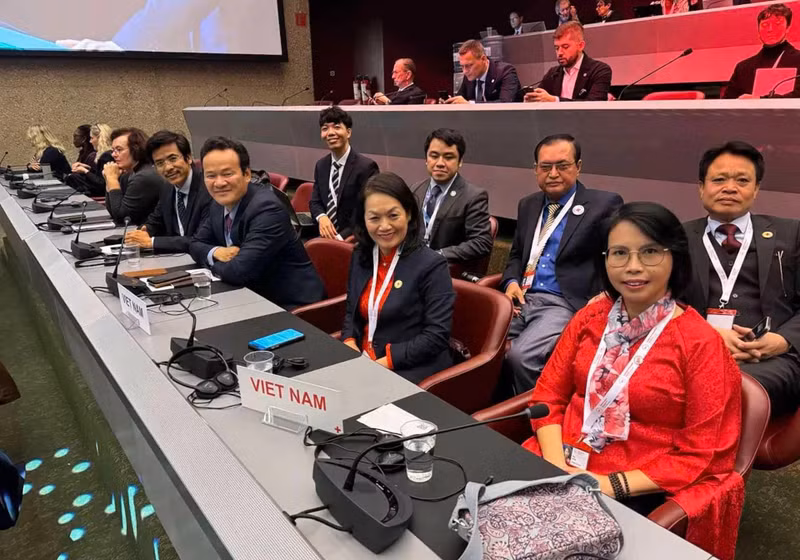 La délégation vietnamienne lors de la 34e Conférence internationale de la Croix-Rouge et du Croissant-Rouge à Genève, en Suisse. Photo : baoquocte.vn