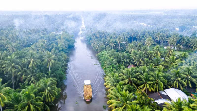 Un bateau chargé de fruits emprunte le un canal de la commune de Thanh My à l'aube, avec des cocotiers dans la brume des deux côtés. Photo : VnExpress.