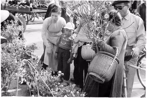 Entre tradition et modernité, le Têt s’impose toujours comme un trait unique de la culture vietnamienne ảnh 3 Entre tradition et modernité, le Têt s’impose toujours comme un trait unique de la culture vietnamienne ảnh 3