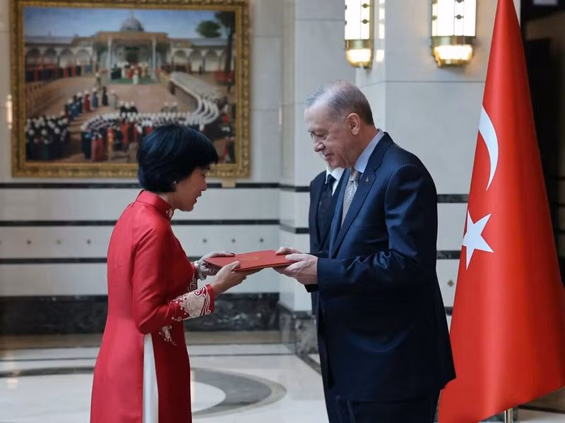 L’ambassadrice du Vietnam en Turquie, Dang Thi Thu Hà, présente ses lettres de créance au président turc, Recep Tayyip Erdogan. Photo : VNA