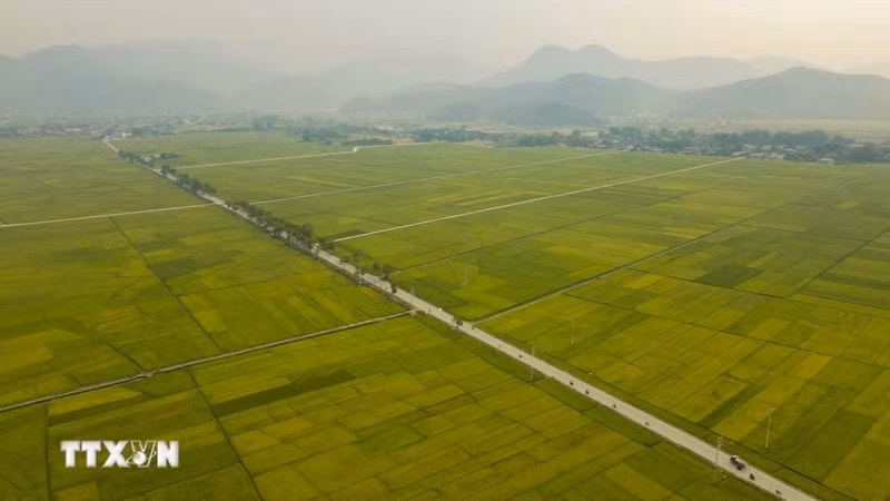 L'autoroute 279 longe les champs de Muong Thanh. (Photo : Xuan Tu/VNA)