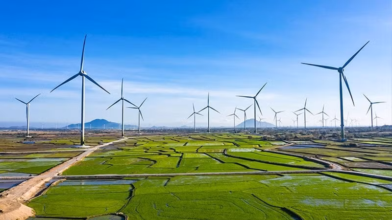 Le Vietnam a rapidement identifié la croissance verte comme l’une des stratégies clés pour parvenir à un développement rapide et durable. Photo : thanhnien.vn.