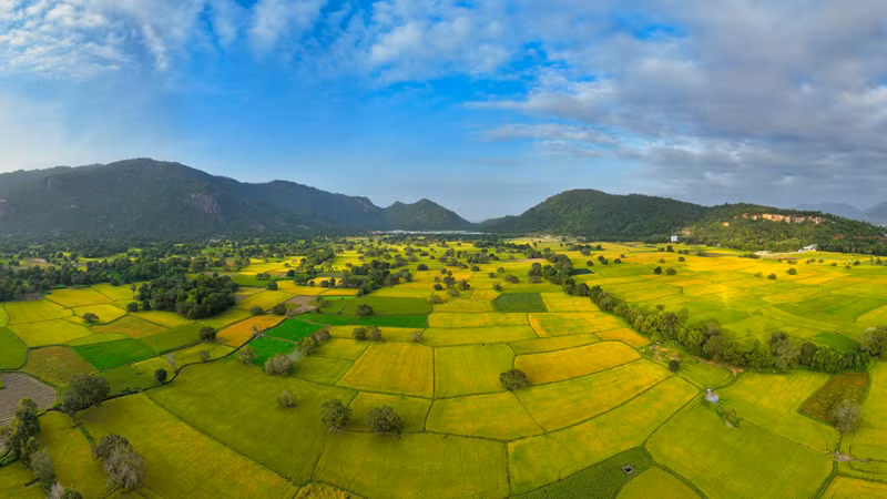 Une vue panoramique de la saison des récoltes à Tà Pạ a été capturée le 15 décembre par le photographe Châu Quang Điền, originaire de Hô Chi Minh-Ville.