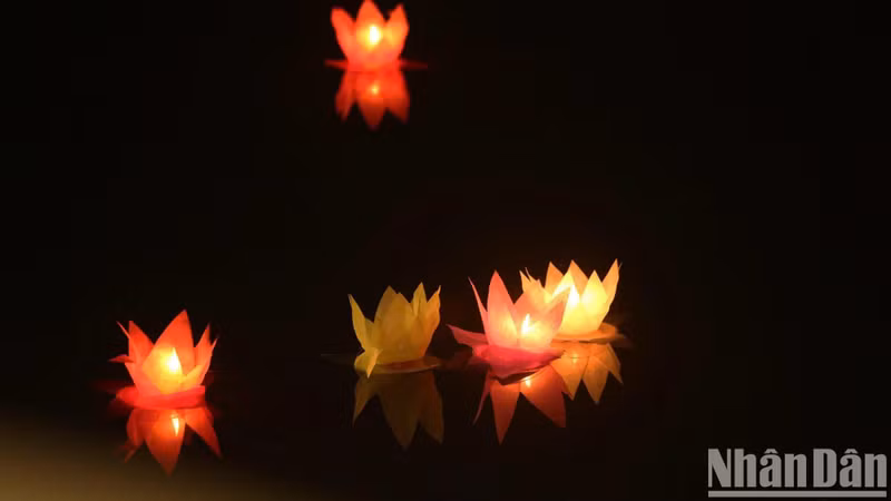 Le Vesak 2025 est une occasion pour le Vietnam de renforcer l'esprit de solidarité et d'harmonie entre les peuples pour un monde de paix et de développement durable. Photo : The Anh/NDEL Le Vesak 2025 est une occasion pour le Vietnam de renforcer l'esprit de solidarité et d'harmonie entre les peuples pour un monde de paix et de développement durable. Photo : The Anh/NDEL