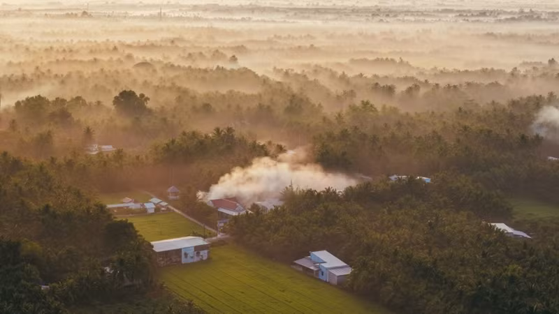 Un coin de campagne dans la brume du petit matin. Photo : VnExpress.