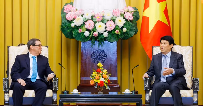 Le président Luong Cuong (droite) reçoit le ministre cubain des Affaires étrangères Bruno Rodríguez Parrilla. Photo : VNA. 