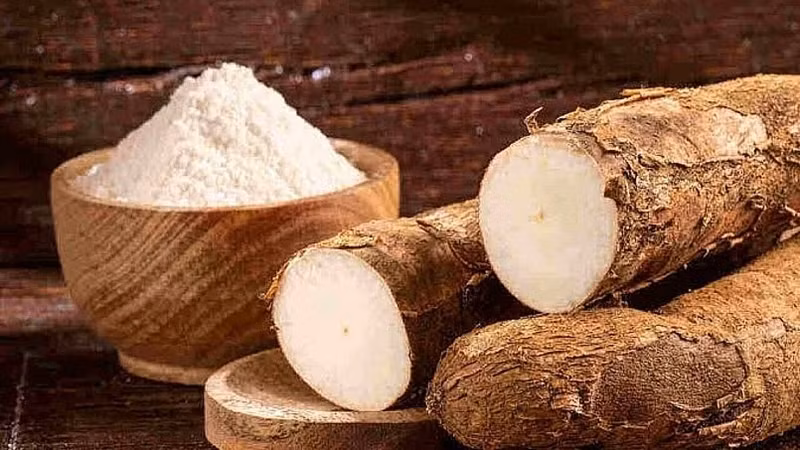 Le manioc joue un rôle clé dans l'exportation des produits agricoles du Vietnam. Photo: congthuong.vn.