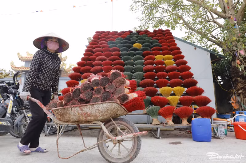 Ces derniers jours, certaines familles ont commencé à produire de grandes quantités de bâtonnets d’encens en préparation du Têt ou encore pour servir les touristes. Dès l’entrée du village, la couleur rouge vif des bâtons d’encens attire le regard de tout visiteur. Des bouquets de bâtons d’encens rouge vif, comme de grands bouquets de fleurs, sont disposés le long de la route, partout sur les terrains vacants, les cours de la maison communale, ce qui indique que le Têt approche. Photo: daidoanket.vn.
