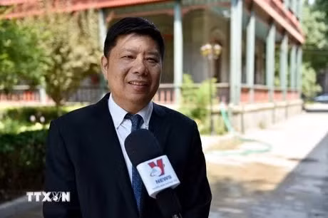 Le professeur Xu Liping, directeur du Centre d'études sur l'Asie du Sud-Est de l'Académie chinoise des sciences sociales. Photo : VNA.