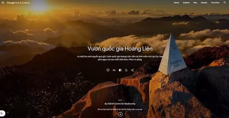 Capture de l'écran de la plateforme Google Arts & Culture.