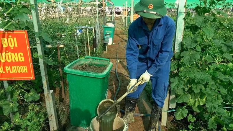 L'équipe du génie militaire vietnamien a fait du compost à parti des déchets alimentaires et des plantes herbacées pour améliorer la porosité et la fertilité des sols. Photo fournie par l’équipe de génie militaire No3 du Vietnam.