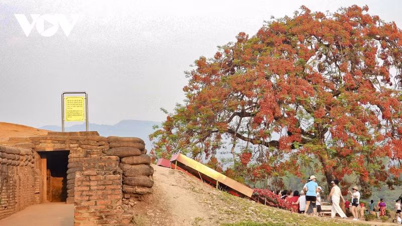 À partir de la colline A1, on a une vue panoramique sur le centre-ville de Diên Biên, les autres collines ou encore l’aéroport de Muong Thanh. Le sommet de la colline est devenu un musée en plein air conservant les traces de la bataille. Photo: VOV.
