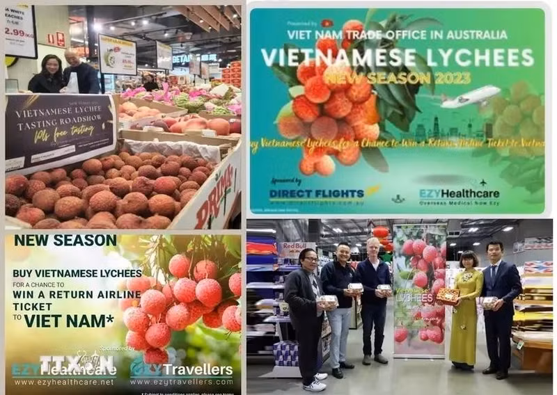 Certaines activités sont réalisées par le Bureau commercial du Vietnam en Australie. Photo : VNA.